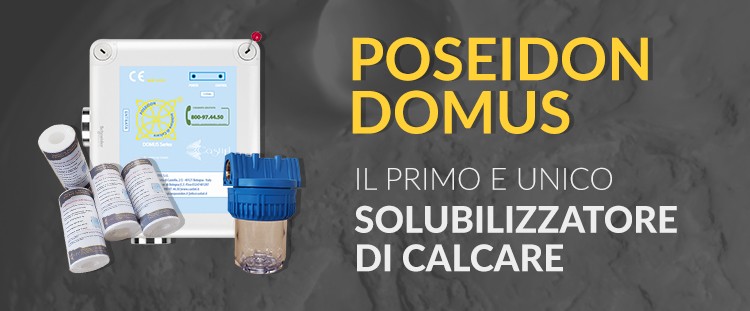 poseidon domus
